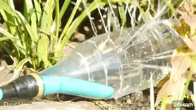35 ý tưởng tái chế chai nhựa đơn giản & độc đáo ai cũng có thể làm được